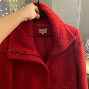 Brand new Loft jacket!